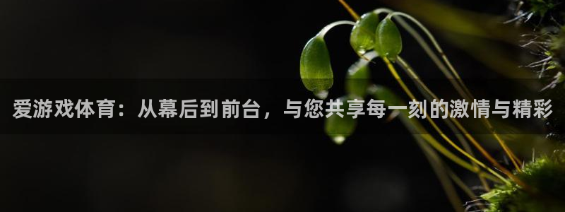 赢咖娱乐登陆测速：爱游戏体育：从幕后到前台，与您共享每一刻的