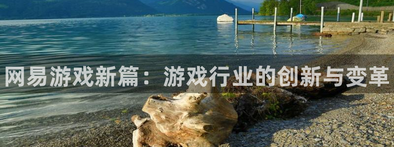 赢咖娱乐app下载|下载地址：网易游戏新篇：游戏行业的创新与
