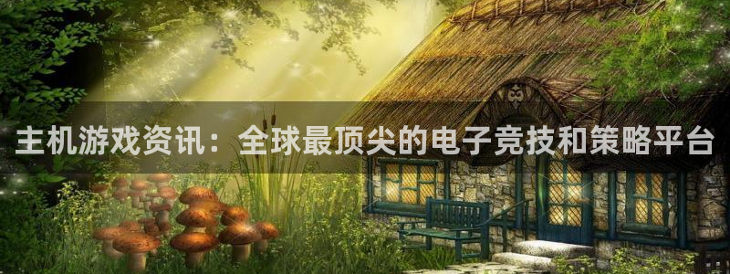赢咖娱乐网页版地址：主机游戏资讯：全球最顶尖的电子竞技和策略