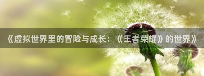 赢咖娱乐：《虚拟世界里的冒险与成长：《王者荣耀》的世界》