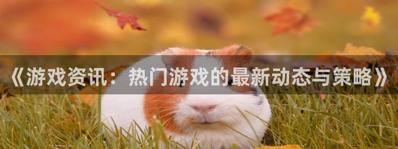 赢咖娱乐注册登录平台：《游戏资讯：热门游戏的最新动态与策略》