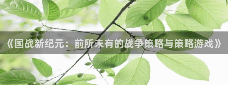 赢咖娱乐网址官网：《国战新纪元：前所未有的战争策略与策略游戏