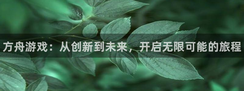 赢咖娱乐集团：方舟游戏：从创新到未来，开启无限可能的旅程