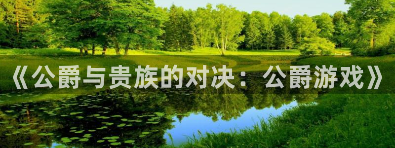 赢咖娱乐注册平台：《公爵与贵族的对决：公爵游戏》