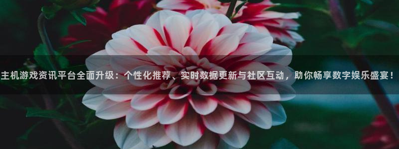 赢咖娱乐平台登录线路：主机游戏资讯平台全面升级：个性化推荐、
