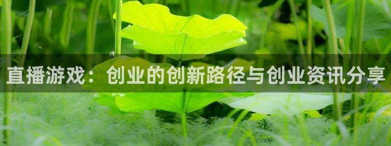 赢咖娱乐app下载：直播游戏：创业的创新路径与创业资讯分享