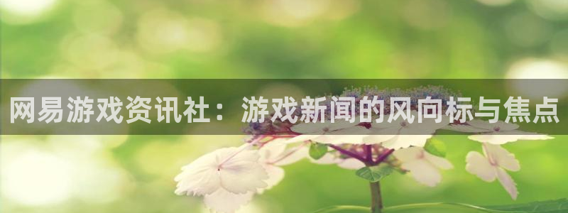 赢咖娱乐开户测速：网易游戏资讯社：游戏新闻的风向标与焦点