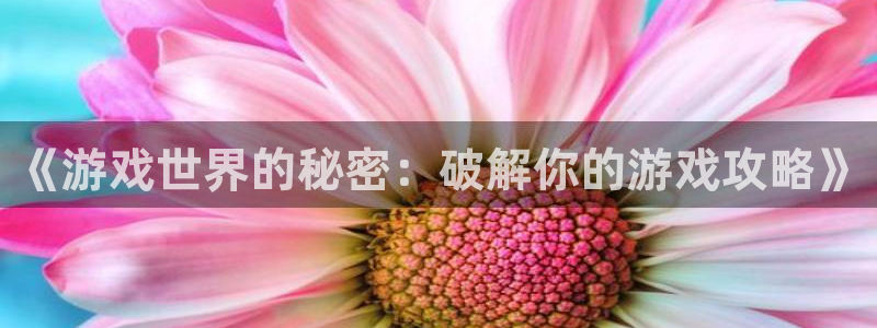 赢咖娱乐网址注册：《游戏世界的秘密：破解你的游戏攻略》