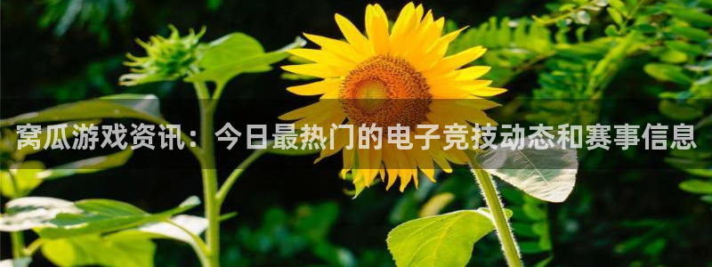 赢咖娱乐手机网页版登录：窝瓜游戏资讯：今日最热门的电子竞技动