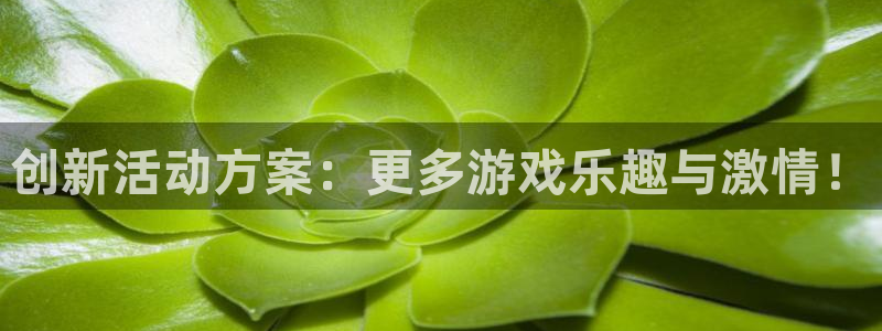 赢咖娱乐app：创新活动方案：更多游戏乐趣与激情！
