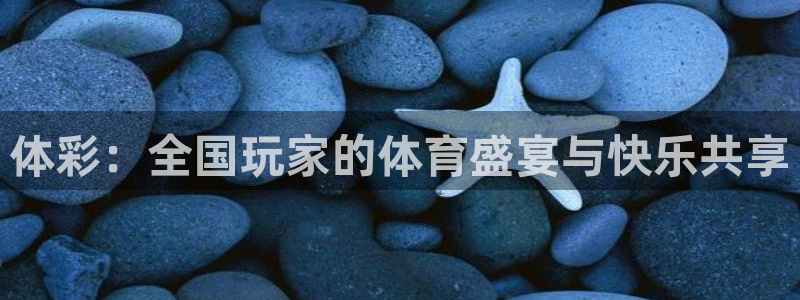 五星体育三打一：体彩：全国玩家的体育盛宴与快乐共享