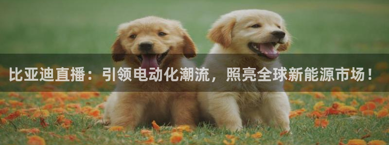 五星体育节目表预告：比亚迪直播：引领电动化潮流，照亮全球新能源市场！