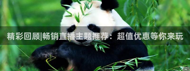 五星体育唐蒙