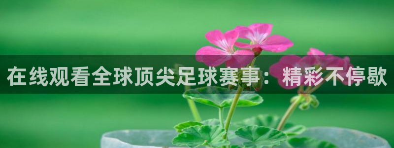 五星体育直播nba：在线观看全球顶尖足球赛事：精彩不停歇