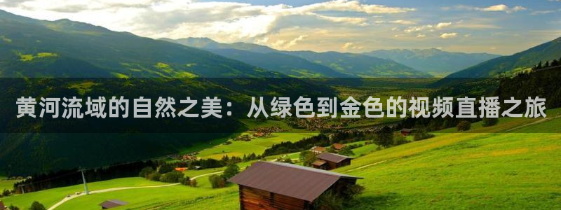 上海五星体育频道在线直播观看：黄河流域的自然之美：从绿色到金色的视频直播之旅