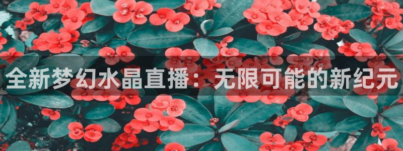 五星体育直播在线免费观看：全新梦幻水晶直播：无限可能的新纪元
