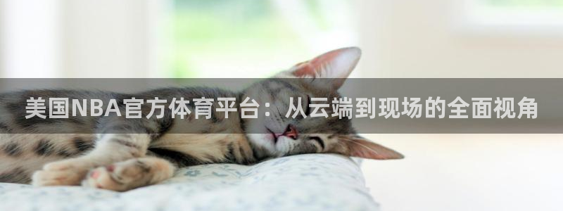 五星体育 nba：美国NBA官方体育平台：从云端到现场的全面视角