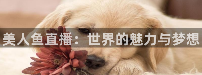 上海五星体育三打一：美人鱼直播：世界的魅力与梦想
