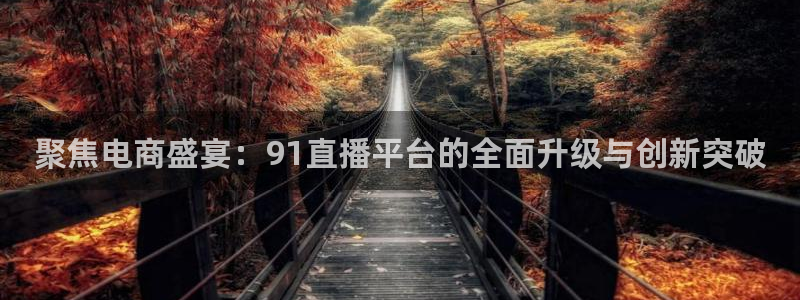 上海五星体育斗地主：聚焦电商盛宴：91直播平台的全面升级与创新突破