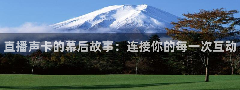 五星体育播放源：直播声卡的幕后故事：连接你的每一次互动