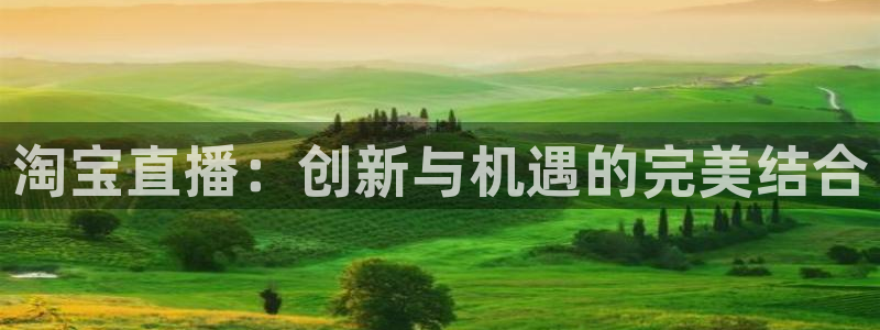 五星体育在哪直播：淘宝直播：创新与机遇的完美结合