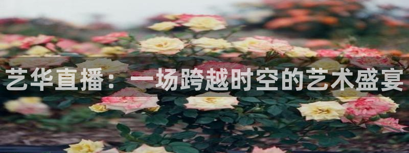 上海五星体育app官网：艺华直播：一场跨越时空的艺术盛宴
