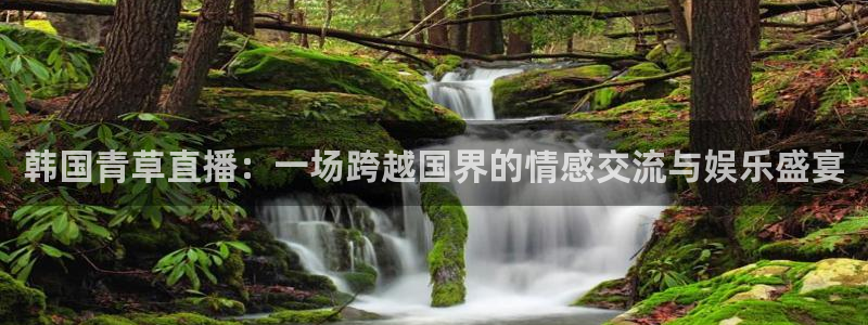 五星体育app：韩国青草直播：一场跨越国界的情感交流与娱乐盛宴