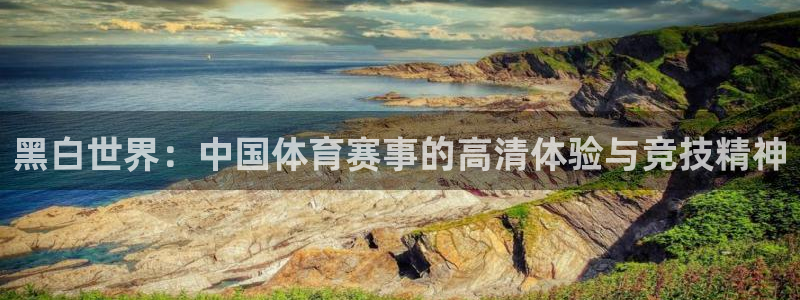五星体育高清免费直播节目表：黑白世界：中国体育赛事的高清体验与竞技精神