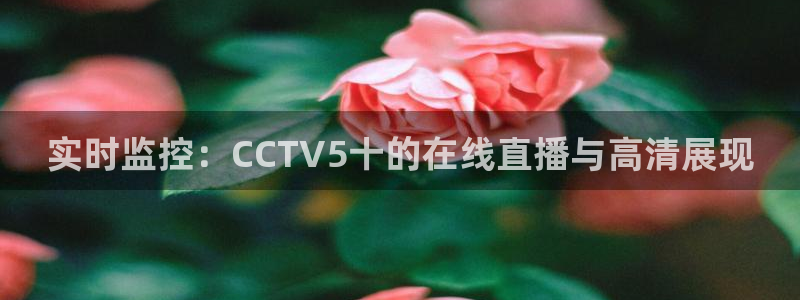 上海五星体育免费看：实时监控：CCTV5十的在线直播与高清展现