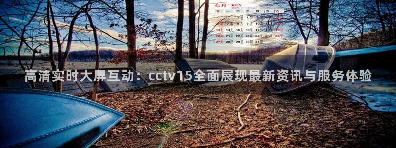 nba直播五星体育：高清实时大屏互动：cctv15全面展现最新资讯与服务体验